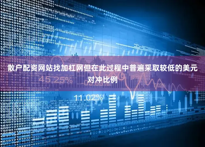 散户配资网站找加杠网但在此过程中普遍采取较低的美元对冲比例