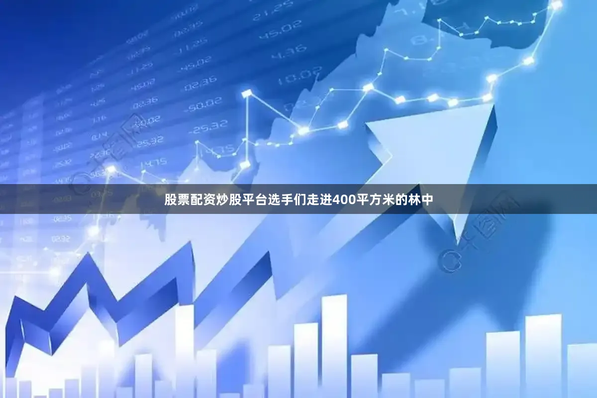 股票配资炒股平台选手们走进400平方米的林中