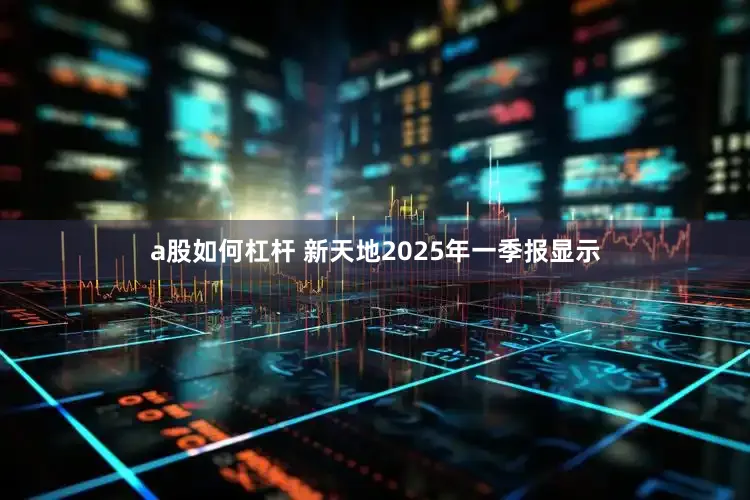a股如何杠杆 新天地2025年一季报显示