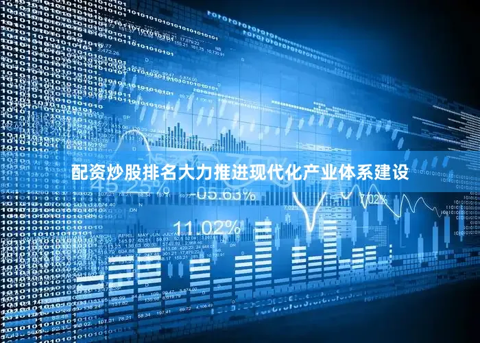 配资炒股排名大力推进现代化产业体系建设